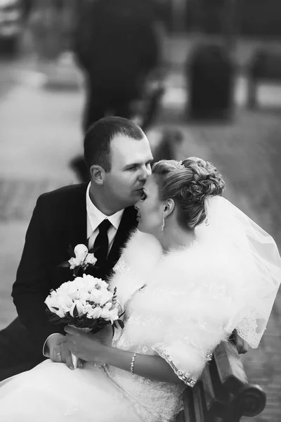 Noivo beija a testa da noiva, enquanto eles descansam no banco — Fotografia de Stock