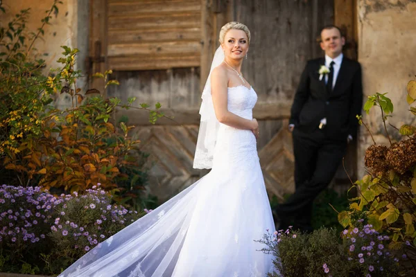 Häpnadsväckande brud promenader i trädgården medan brudgummen väntar bakom en wo — Stockfoto