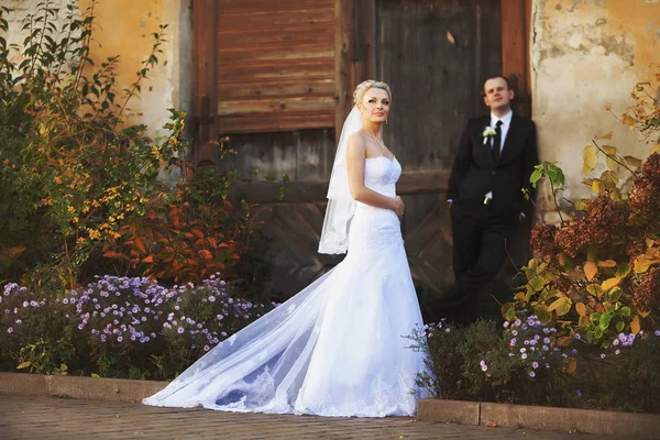 Gyönyörű menyasszony áll a járdán, lila bokrok között — Stock Fotó