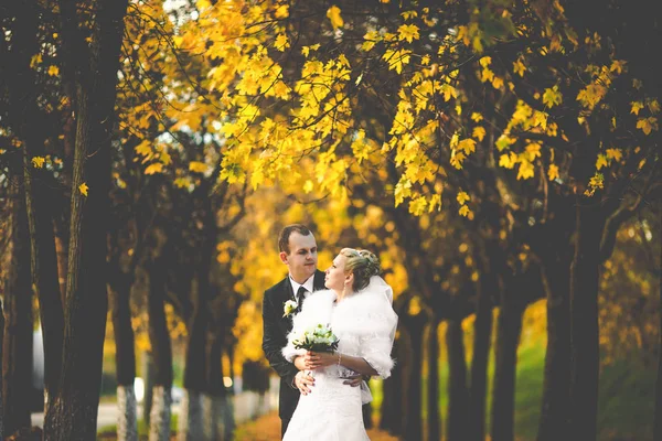 Bräutigam blickt Braut an, die hinter ihr in einem herbstlichen Park steht — Stockfoto