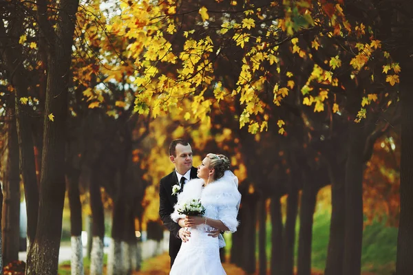 Goldene Herbstblätter umgeben ein schönes Hochzeitspaar — Stockfoto