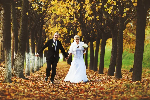 Boldog pár esküvői fut végig az utat teljes lehullott levelek — Stock Fotó