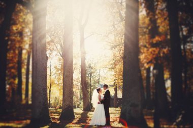 Gelin ve damat birbirleriyle sonbahar f içinde ayakta gibi bakıyorsun