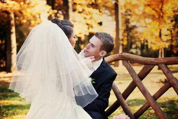 Braut hält das Gesicht des Bräutigams zart, während er auf den Knien sitzt — Stockfoto