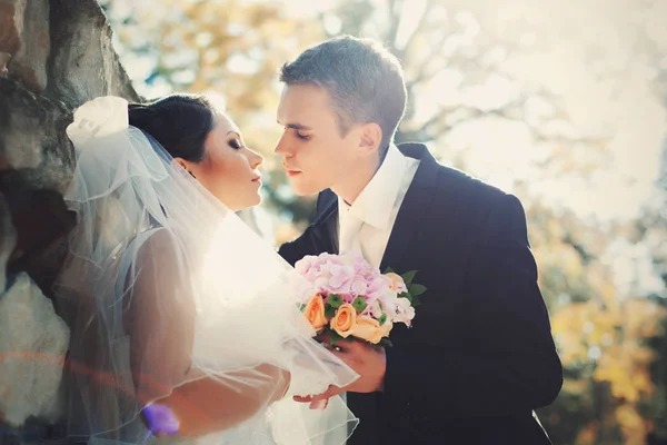 Um momento antes de um beijo entre noivo bonito e noiva bonita — Fotografia de Stock