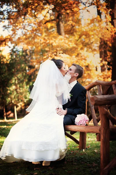 Noiva em vestido magnífico senta-se nos joelhos do noivo e beija-o — Fotografia de Stock