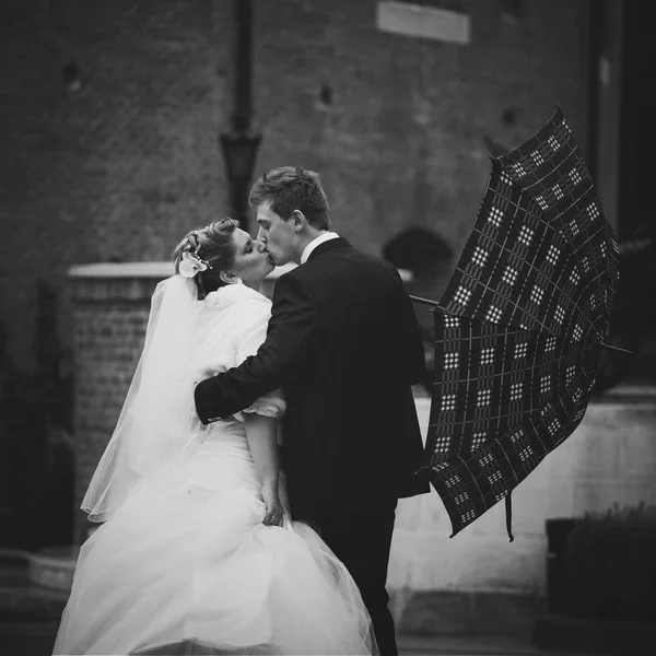 Egy szenvedélyes csókot fiatal esküvői pár csók az esőben — Stock Fotó