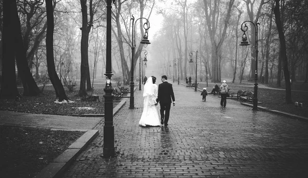 Foto in bianco e nero di sposi che passeggiano nel parco nebbioso — Foto Stock