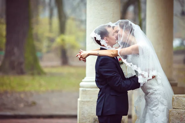 Groom kisses a bride standing hidden under the veil in a foggy p — Stock Photo, Image