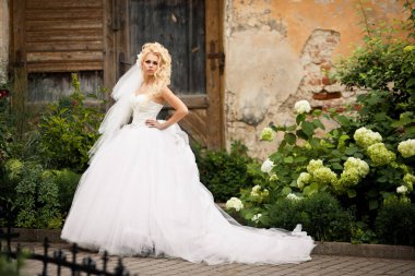 Yeşil ortancaların arasında muhteşem kıvırcık gelin pozlar