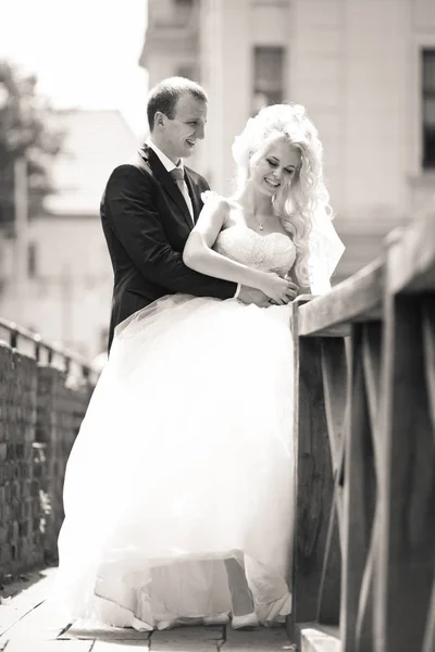 Schöner Bräutigam hält eine prachtvolle Braut in seinen Händen — Stockfoto