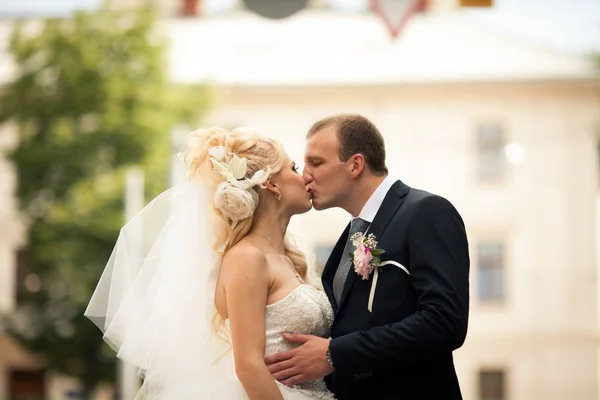 Sposo baci sposa abbracciando la sua vita delicata — Foto Stock