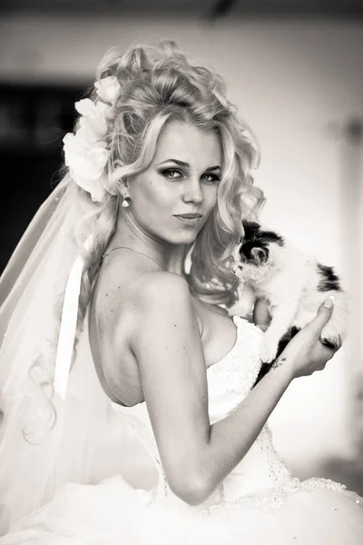 Black and white picture of a pretty bride holding a white kitty