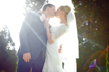 Güneş ışınları parkta öpüşme bir şık düğün çift kapak.