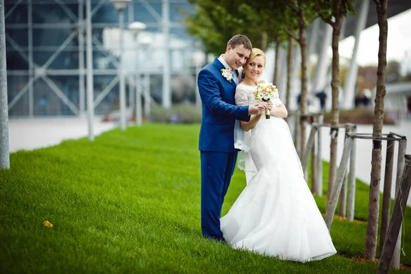Bella coppia di sposi si trova sull'erba verde in una s nuvoloso — Foto Stock