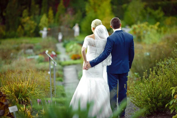 Жених держит руку на спине невесты, идя по тропинке. — стоковое фото