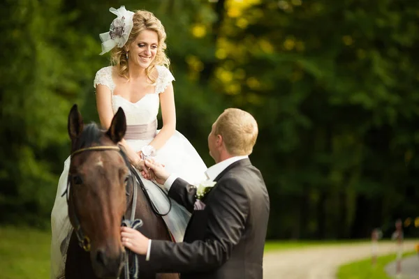 Novio toma la mano de la novia mientras ella se sienta en el caballo — Foto de Stock