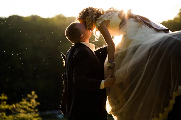 Sposo baci un sposa tenendo la mano mentre lei si siede su il hors — Foto Stock