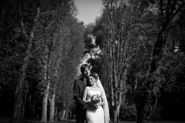 Doce casal fica entre árvores altas — Fotografia de Stock