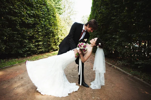 Novio sostiene novia en elegante vestido sobre el pavimento en el parque — Foto de Stock