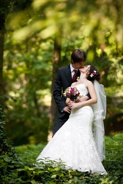 Fidanzato bacia una piccola sposa in piedi nella foresta — Foto Stock