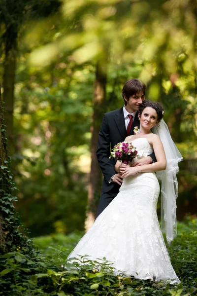 Glückliches Hochzeitspaar umarmt sich unter dem Baum im Park — Stockfoto