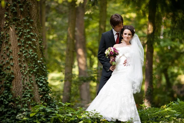 Groom beija o cabelo da noiva encaracolada abraçando-a por trás — Fotografia de Stock