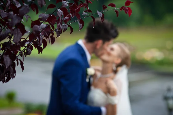 Uma imagem de galho de árvore vermelha molhada, enquanto os recém-casados se beijam em tha bac — Fotografia de Stock