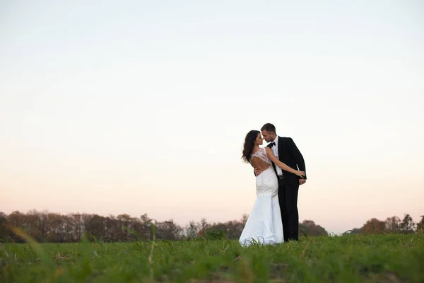 Жених обнимает стильную невесту в платье с открытой спиной на поле — стоковое фото