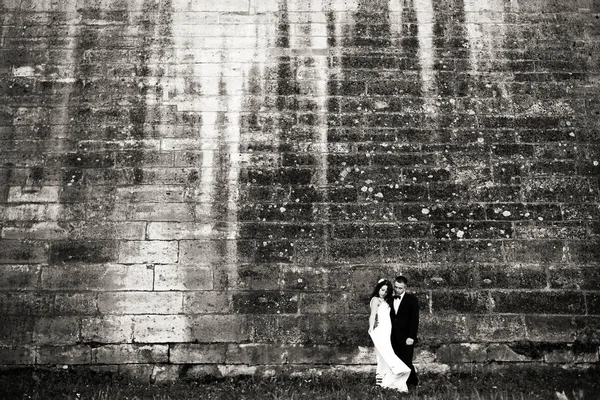 Preto e branco foto de um casamento casal posando no o alta — Fotografia de Stock