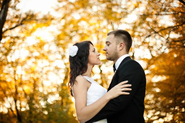 Groom olha para um bide seriamente de pé no parque de outono — Fotografia de Stock