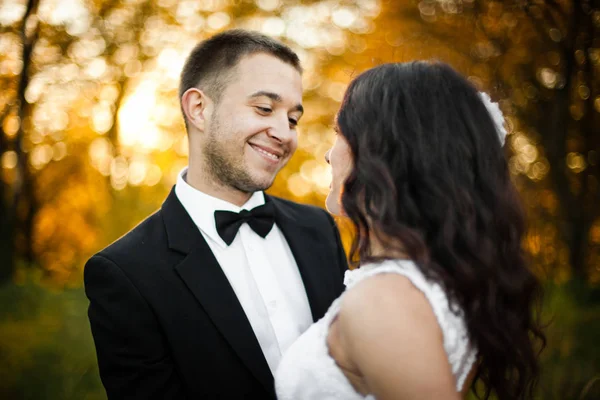 Happy groom admires a beautiful curly bride — Stock Photo, Image