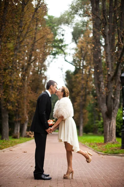 Noiva elegante em vestido bege beija um noivo no caminho no parque — Fotografia de Stock