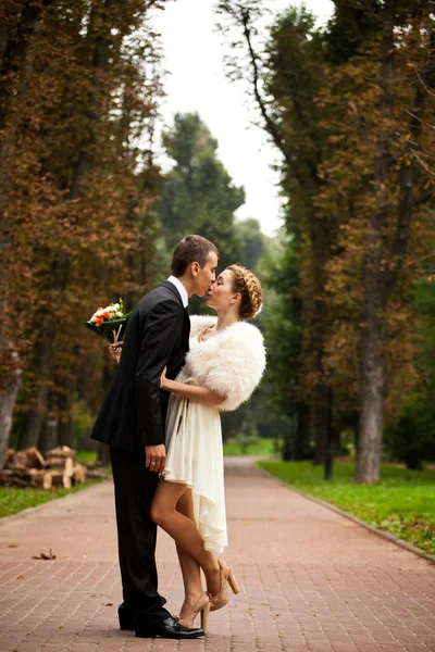 Bräutigam küsst Braut mit zum Zopf gesteckten Haaren — Stockfoto