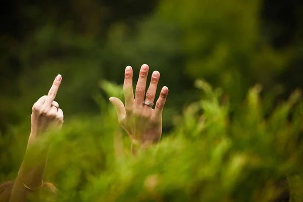 Jonggehuwden handen met trouwringen gesteld boven de struiken — Stockfoto