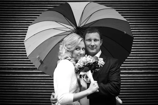 Sposa si appoggia a uno sposo in piedi sotto un ombrello originale — Foto Stock