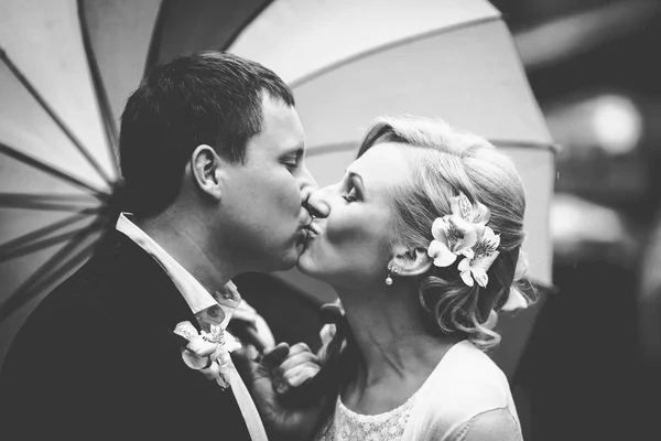 Un tenero bacio di coppia nuziale in piedi sotto un ombrello — Foto Stock