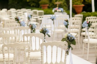 Arkadan bir göz ile mavi ortanca dekore edilmiş beyaz sandalye