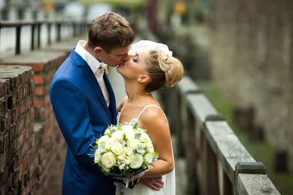 Elegante novio vestido con traje azul besa a una novia elegante — Foto de Stock