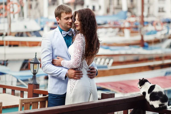 Gato senta-se no beliche em que belos abraços de casal de casamento — Fotografia de Stock