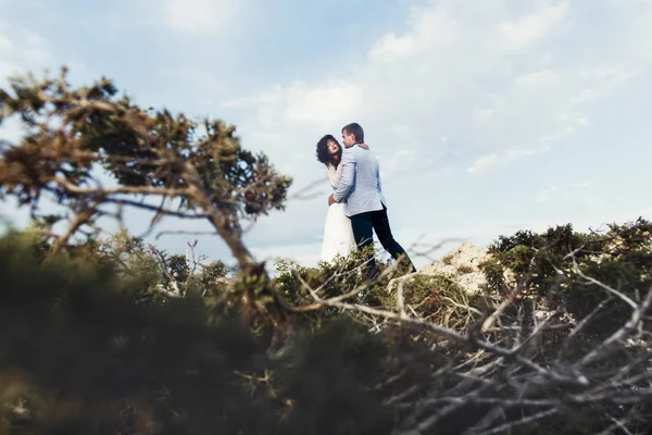 Titta från gröna buskarna på de nygifta kramas ovanför dem. — Stockfoto