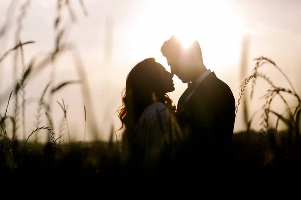 Avond zon schijnt over de silhouetten van bruidspaar kissin — Stockfoto