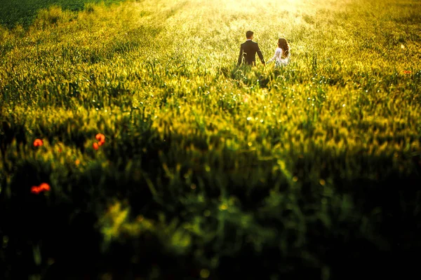 Olhe de longe em um casal de casamento andando na grama verde alta — Fotografia de Stock