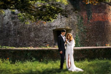 Hayalifener evlilik çift inci eski bir tuğla duvara önce standları