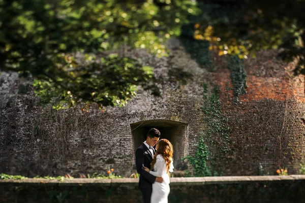 Blick von grünen Zweigen auf ein atemberaubendes Hochzeitspaar — Stockfoto