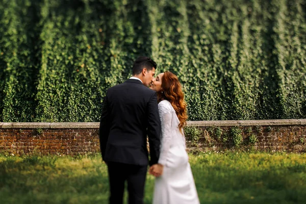 Suddig bild av nygifta kysser innan en mörk grön vägg av — Stockfoto