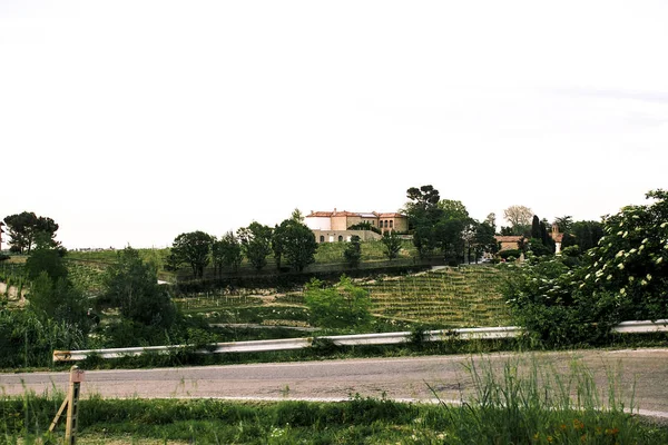 Mira desde lejos las casas rojas escondidas detrás de los árboles verdes — Foto de Stock
