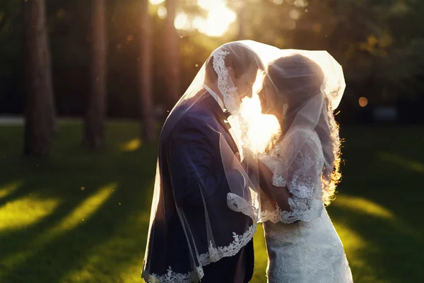 Sol de la noche brilla a través del delicado velo que cubre la boda co —  Fotos de Stock