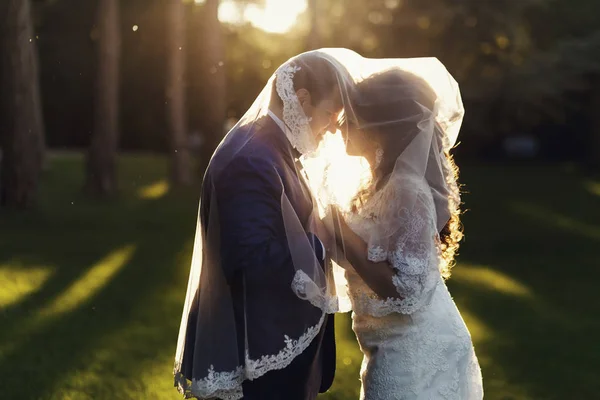 Braut und Bräutigam küssen sich unter Schleier, der im Abendlicht leuchtet — Stockfoto