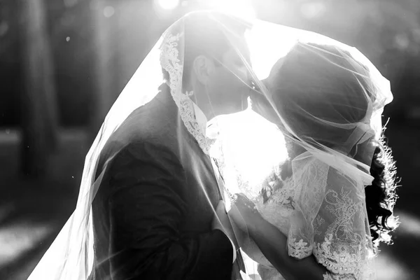 Zärtlicher Kuss des Brautpaares, das sich unter dem Schleier umarmt — Stockfoto